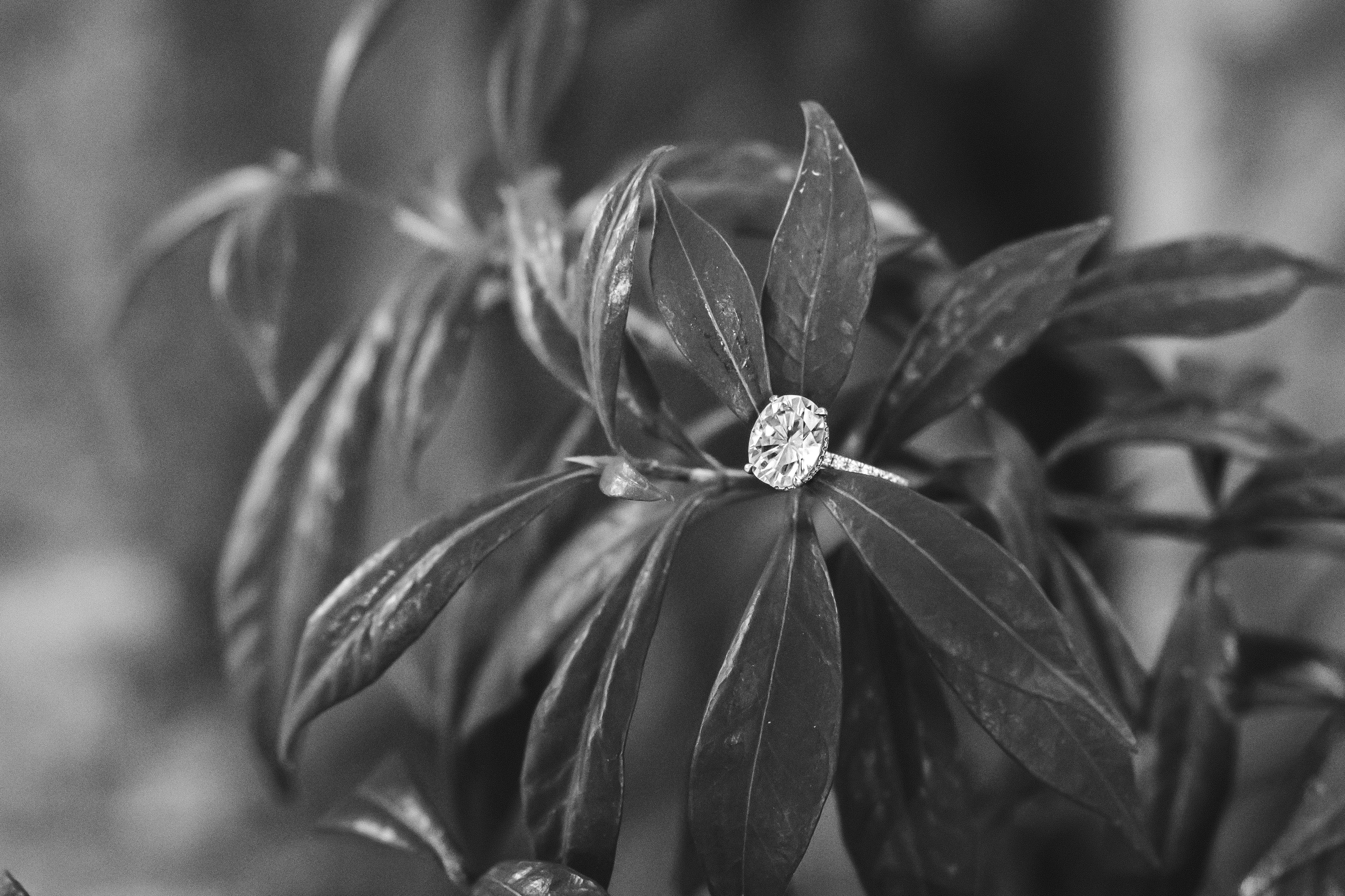 021 110722 LUMINOUSPHOTOGRAPHY